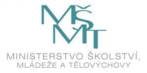 msmt-300x150.jpg